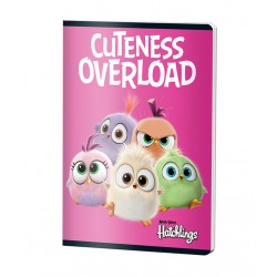 CAIET A5 48F DR ANGRY BIRDS PIGNA