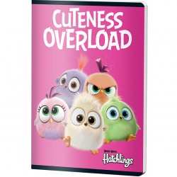 CAIET A5 48F DR ANGRY BIRDS PIGNA