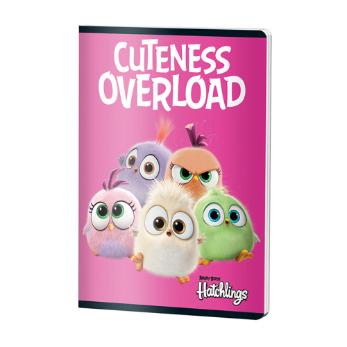 CAIET A5 48F DR ANGRY BIRDS PIGNA