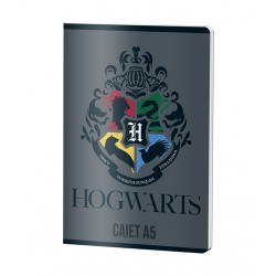 CAIET A5 48F DR HARRY POTTER PIGNA