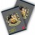 CAIET A5 80F AR LICENTE MINIONS PIGNA
