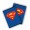 CAIET A5 80F DR LICENTE SUPERMAN PIGNA