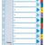 SEPARATOARE INDEX CARTON 1-10 MYLAR ESSELTE