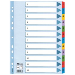 SEPARATOARE INDEX CARTON 1-12 MYLAR ESSELTE