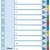 SEPARATOARE INDEX CARTON 1-12 MYLAR ESSELTE