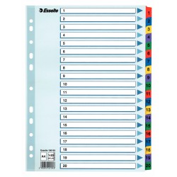 SEPARATOARE INDEX CARTON 1-20 MYLAR ESSELTE