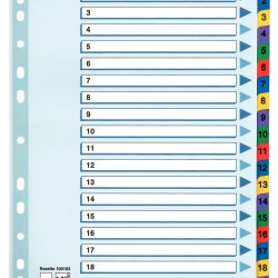 SEPARATOARE INDEX CARTON 1-20 MYLAR ESSELTE