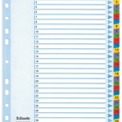 SEPARATOARE INDEX CARTON 1-31 MYLAR ESSELTE