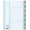 SEPARATOARE INDEX CARTON 1-31 MYLAR ESSELTE