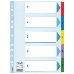 SEPARATOARE INDEX CARTON 1-5 MYLAR ESSELTE