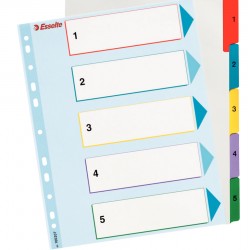 SEPARATOARE INDEX CARTON 1-5 REINSCRIPTIBIL ESSELTE