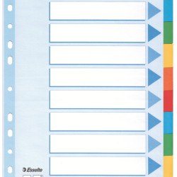 SEPARATOARE INDEX CARTON 10 COLI STANDARD ESSELTE