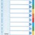 SEPARATOARE INDEX CARTON 10 COLI STANDARD ESSELTE