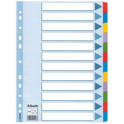 SEPARATOARE INDEX CARTON 12 COLI MYLAR ESSELTE
