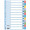 SEPARATOARE INDEX CARTON 12 COLI MYLAR ESSELTE