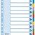 SEPARATOARE INDEX CARTON 12 COLI MYLAR ESSELTE