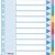 SEPARATOARE INDEX CARTON 12 COLI STANDARD ESSELTE