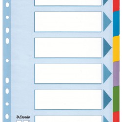 SEPARATOARE INDEX CARTON 6 COLI  MYLAR ESSELTE