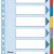 SEPARATOARE INDEX CARTON 6 COLI  MYLAR ESSELTE