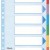 SEPARATOARE INDEX CARTON 6 COLI STANDARD ESSELTE