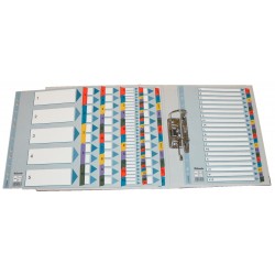 SEPARATOARE INDEX CARTON IAN-DEC MYLAR ESSELTE