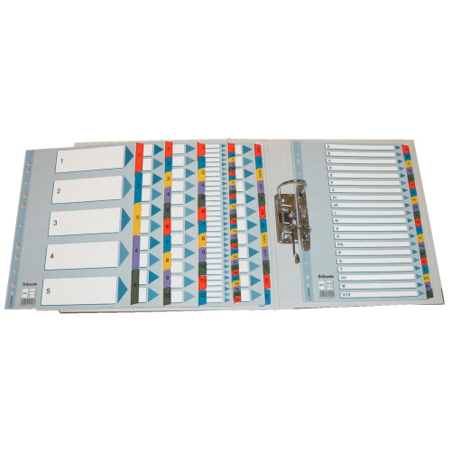 SEPARATOARE INDEX CARTON IAN-DEC MYLAR ESSELTE