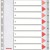 SEPARATOARE INDEX PLASTIC 1-10 ESSELTE