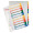 SEPARATOARE INDEX PLASTIC 1-10 IMPRIMABIL ESSELTE