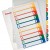 SEPARATOARE INDEX PLASTIC 1-10 IMPRIMABIL ESSELTE