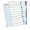 SEPARATOARE INDEX PLASTIC 1-10 REINSCRIPTIBIL ESSELTE