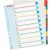 SEPARATOARE INDEX PLASTIC 1-10 REINSCRIPTIBIL ESSELTE