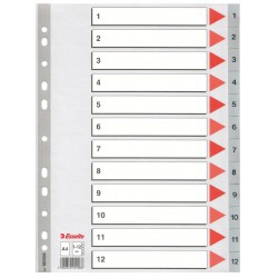 SEPARATOARE INDEX PLASTIC 1-12 ESSELTE