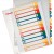 SEPARATOARE INDEX PLASTIC 1-12 IMPRIMABIL ESSELTE