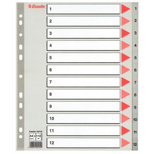 SEPARATOARE INDEX PLASTIC 1-12 MAXI ESSELTE