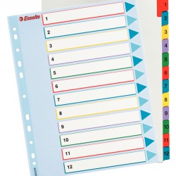 SEPARATOARE INDEX PLASTIC 1-12 REINSCRIPTIBIL ESSELTE