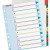 SEPARATOARE INDEX PLASTIC 1-12 REINSCRIPTIBIL ESSELTE