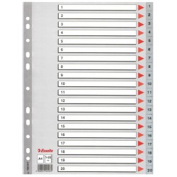 SEPARATOARE INDEX PLASTIC 1-20 ESSELTE