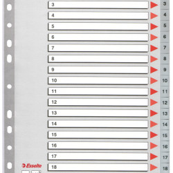 SEPARATOARE INDEX PLASTIC 1-20 ESSELTE