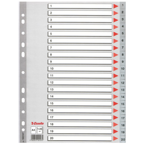 SEPARATOARE INDEX PLASTIC 1-20 ESSELTE