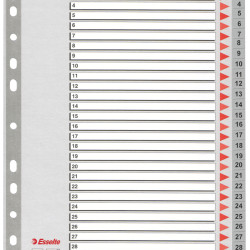 SEPARATOARE INDEX PLASTIC 1-31 ESSELTE