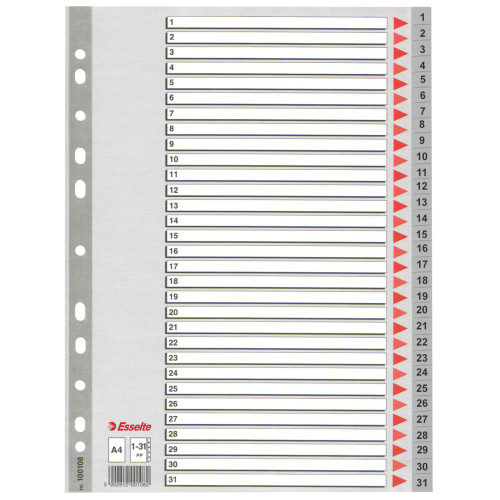 SEPARATOARE INDEX PLASTIC 1-31 ESSELTE