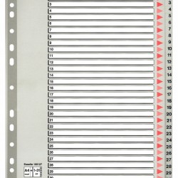 SEPARATOARE INDEX PLASTIC 1-31 MAXI ESSELTE