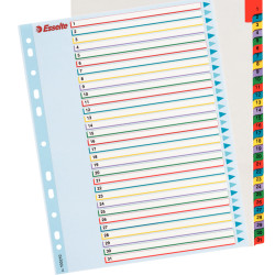 SEPARATOARE INDEX PLASTIC 1-31 REINSCRIPTIBIL ESSELTE