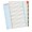 SEPARATOARE INDEX PLASTIC 1-31 REINSCRIPTIBIL ESSELTE