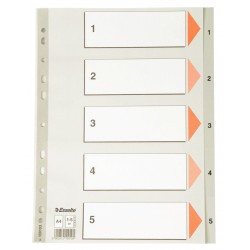 SEPARATOARE INDEX PLASTIC 1-5 ESSELTE