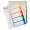 SEPARATOARE INDEX PLASTIC 1-5 IMPRIMABIL ESSELTE