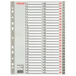 SEPARATOARE INDEX PLASTIC 1-54 MAXI ESSELTE