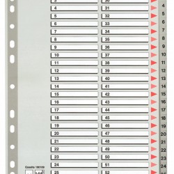SEPARATOARE INDEX PLASTIC 1-54 MAXI ESSELTE
