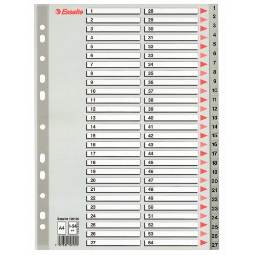 SEPARATOARE INDEX PLASTIC 1-54 MAXI ESSELTE