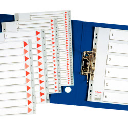 SEPARATOARE INDEX PLASTIC 1-6 ESSELTE